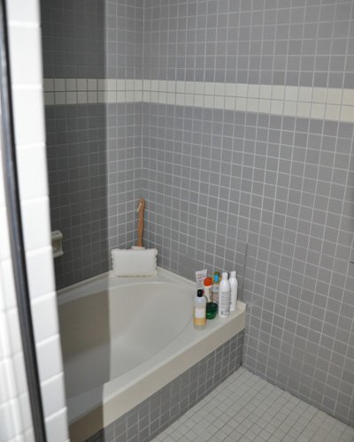 Before: an institutional-style master bath that echoed like a cave