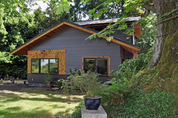 careful placement of cottage among mature cedars and a huge maple tree