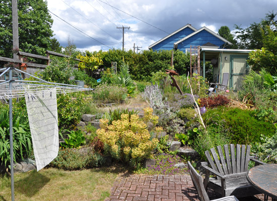 Every project starts with an opportunity and a vision.  In this lushly landscaped backyard, the owners envisioned a studio space for two - with natural light, views and a very short commute.