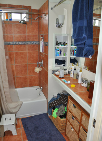 The limited counter space tied into a void of dead space behind the shower head.  What should have been a light, bright bath felt like walking into a poorly-designed closet.  All of the elements were there, but they came together awkwardly